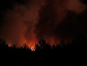 Muğla’nın Menteşe ilçesinde orman yangını çıktı