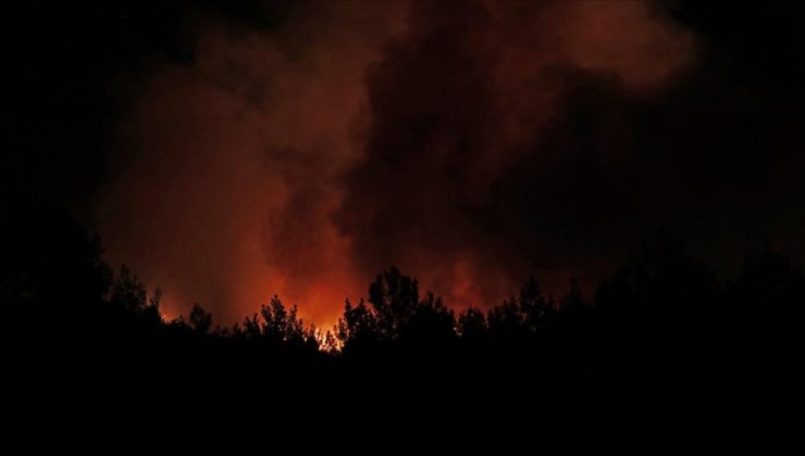 Muğla’nın Menteşe ilçesinde orman yangını çıktı