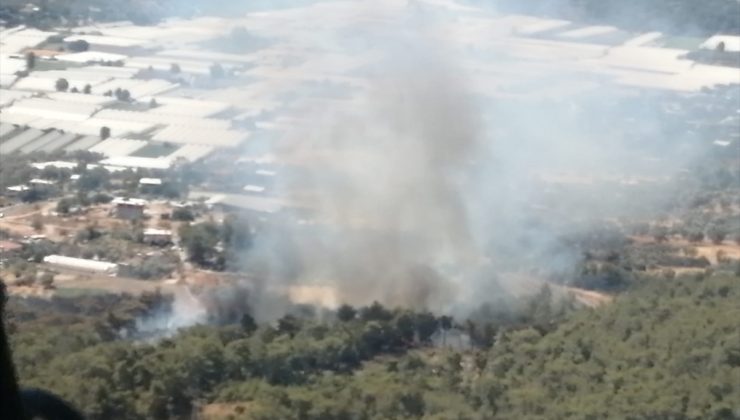 Seydikemer`de orman yangını başladı