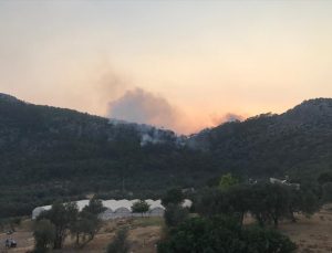 Muğla’nın Seydikemer ilçesinde orman yangını