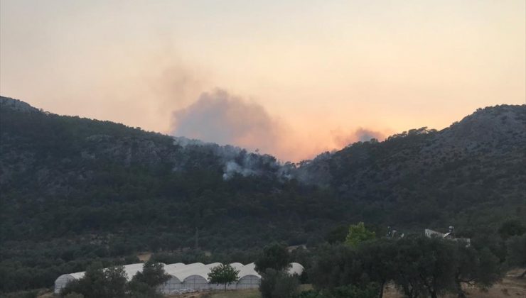 Muğla’nın Seydikemer ilçesinde orman yangını