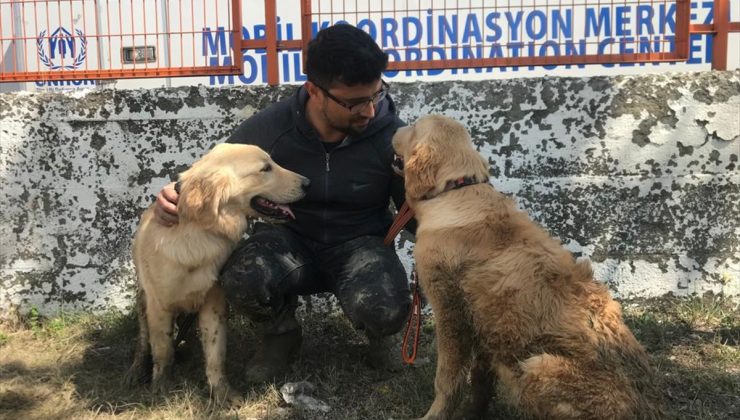 Ayancık`ta sel nedeniyle mahsur kalan iki köpek kurtarıldı