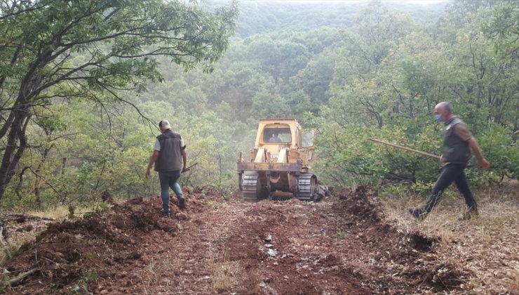 Tunceli’deki, yangınlar kontrol altına alındı