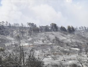 Yunanistan’da orman yangınları büyük doğa felaketine neden oldu