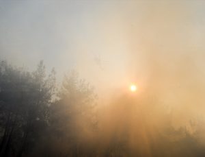 Yunanistan’da da orman yangınları devam ediyor