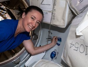 NASA astronotunun yetiştirdiği biber fideleri çiçek açtı