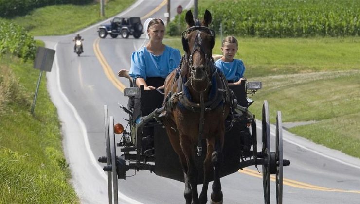 ABD’de at arabasına araç çarptı: Çift öldü, çocukları yaralı