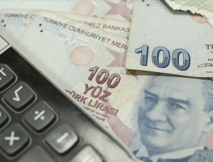 Kamu bankaları kredi faiz oranlarını indirdi