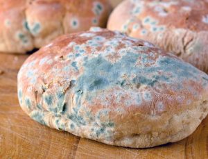 Ekmeğin küflenmesi nasıl önlenir?