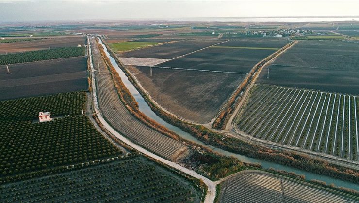 Kuraklığa karşı ‘az su tüketen bitkiler ekilmesi’ önerisi