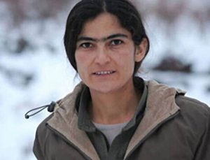 PKK’nın sözde yöneticisi Taybet Bilen öldürüldü