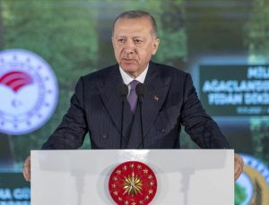 “Hedefimiz 2023 sonuna kadar dikilen fidan sayısını 7 milyara ulaştırmak”