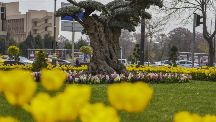 ‘Yeşil Şehir’ Gaziantep