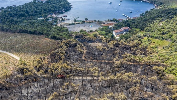 Heybeliada’da ormanı yakan sanığa 12 yıl hapis cezası verildi