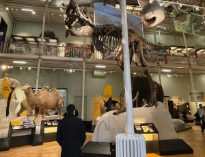 İskoçya Ulusal Müzesi doğa, tarih ve bilimi buluşturuyor