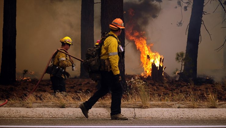 Kuzey Carolina’da yangın: 400 hektar alan zarar gördü