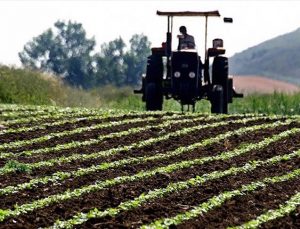 Çiftçiye destek ödemesi hesaplara yatırılıyor