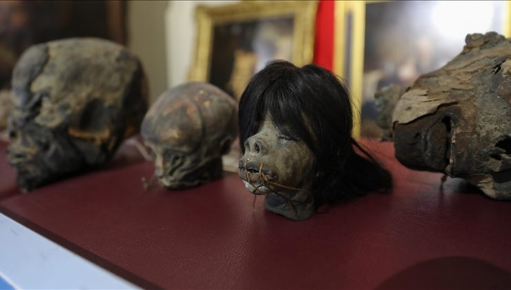 İzmir’de Güney Amerika kökenli Jivaro kabilesine ait 4 kafatası ele geçirildi