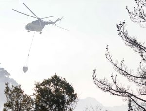 Arjantin’in ciğerleri 20 gündür yanıyor