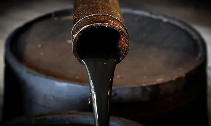 Türkiye-Suriye sınırında petrol keşfi