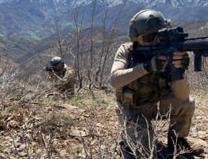 Kırmızı bültenle aranan PKK’lı etkisiz hale getirildi