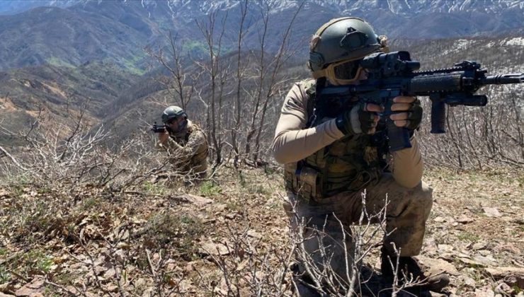 Kırmızı bültenle aranan PKK’lı etkisiz hale getirildi