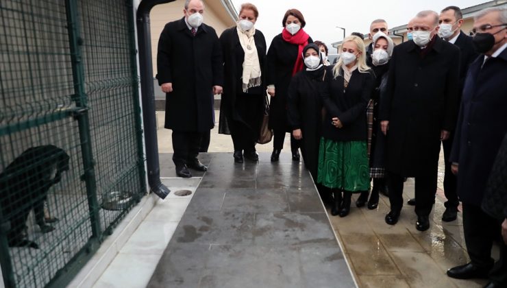 Cumhurbaşkanı Erdoğan,Beykoz hayvan barınağını ziyaret etti