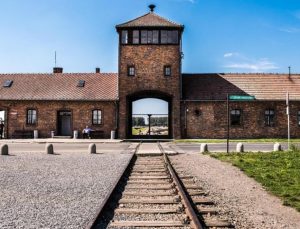 Nazi selamı veren Hollandalı gözaltına alındı