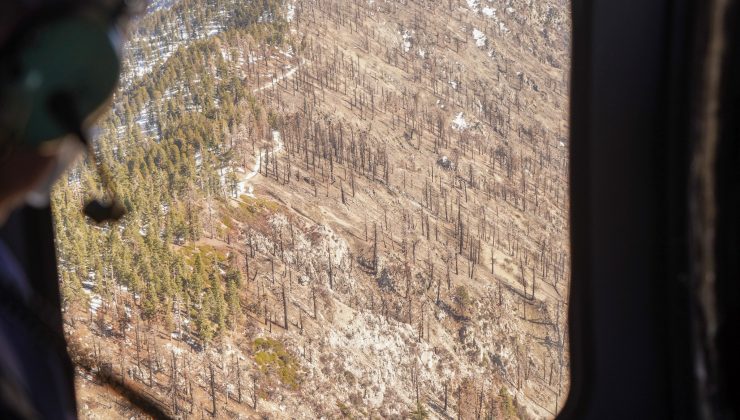 California’da Ocak ayında orman yangını
