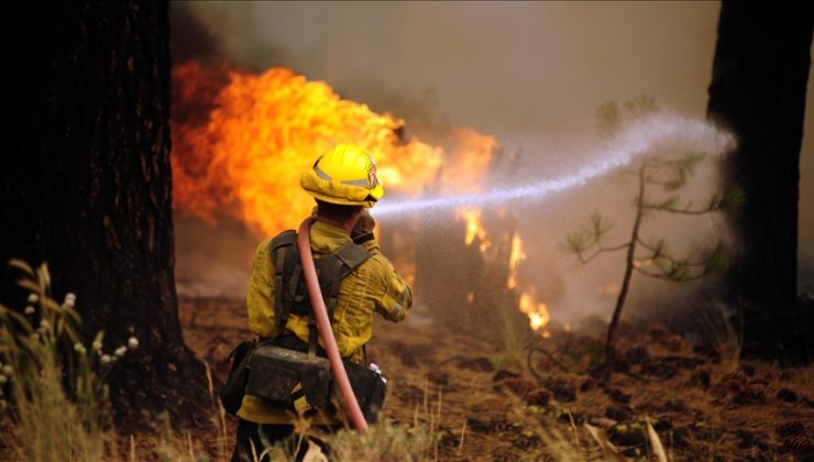 Sezon açıldı: Kaliforniya’da 57 kilometrekarelik alan yandı