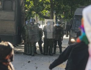 Şili’de arıcıların protestosuna müdahale eden polisleri arı soktu