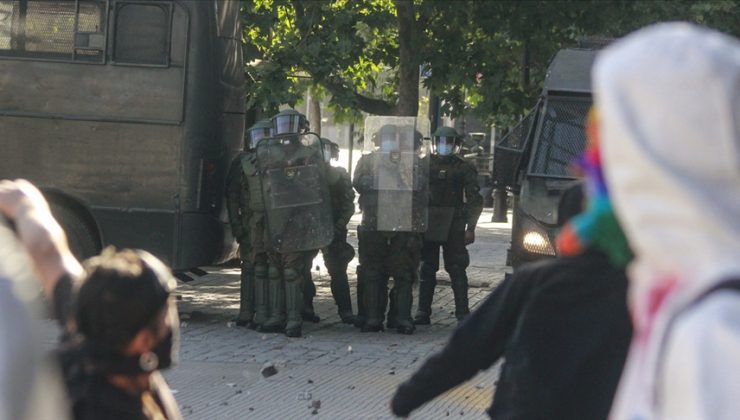 Şili’de arıcıların protestosuna müdahale eden polisleri arı soktu