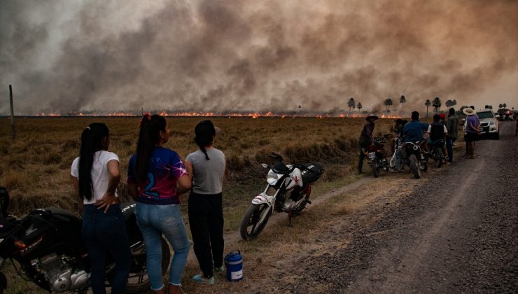 Arjantin’de orman yangınının zararı 240 milyon dolar