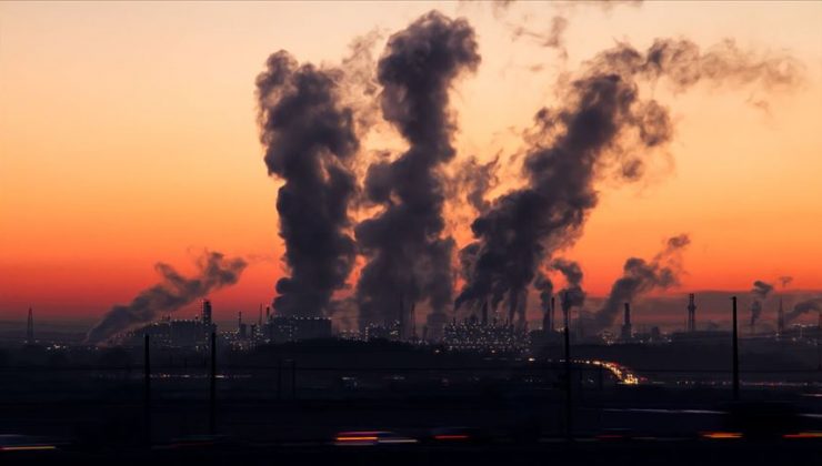 BM: Çevre kirliliği, Kovid-19’dan daha fazla can kaybına yol açıyor