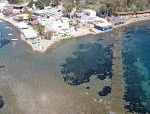 Bodrum’da deniz çekildi, tarihi surlar ortaya çıktı