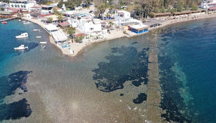 Bodrum’da deniz çekildi, tarihi surlar ortaya çıktı