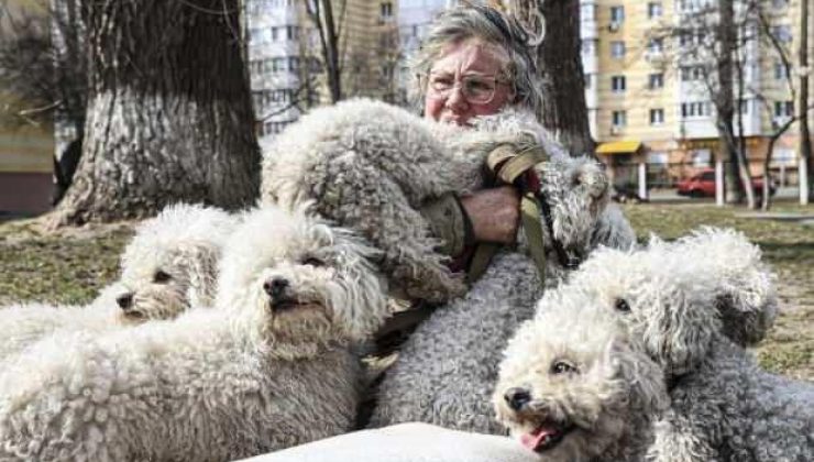 Ukraynalı kadın 24 köpeği ile Kiev’e gitti