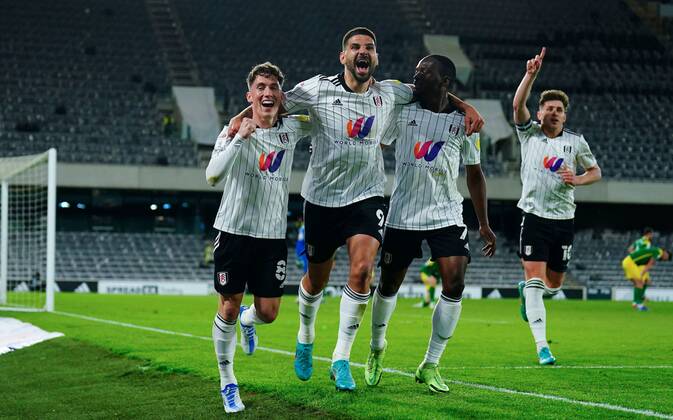 Fulham yeniden Premier Lig’de