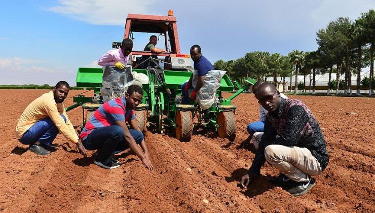 Somali’den tarım daveti geldi