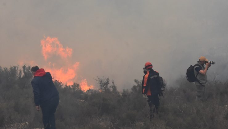 Bodrum’daki orman yangınına 3 gözaltı