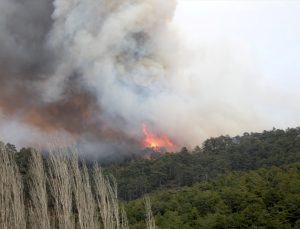 Bursa’da ormanlık alanda çıkan yangınlara müdahale ediliyor