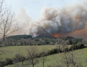 Çanakkale Bigadiç’te orman yangını