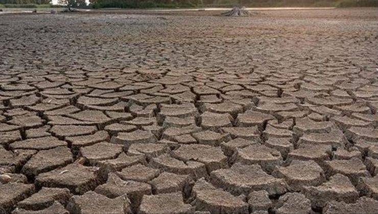 California’da kuraklık: Dış mekan sulamalarına sınırlama getirildi