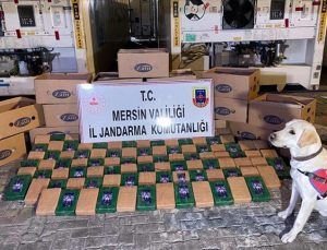 Bakan Soylu: Mersin Limanı’nda 258 kilogram kokain yakalandı