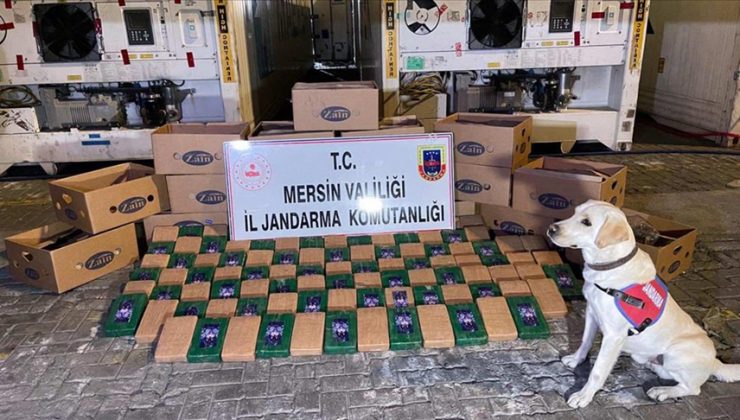 Bakan Soylu: Mersin Limanı’nda 258 kilogram kokain yakalandı