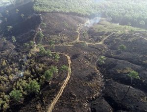 Bursa, Çanakkale ve Bilecik’teki orman yangınları kontrol altına alındı