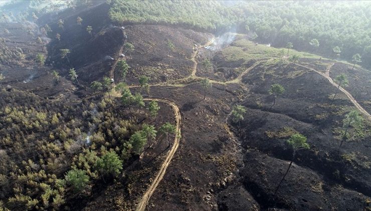 Bursa, Çanakkale ve Bilecik’teki orman yangınları kontrol altına alındı
