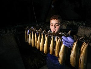 Tütsülenmiş ringa bayramda Gazze’de sofraları süsleyecek