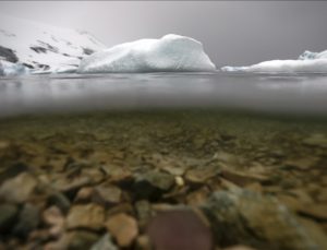 Antarktika’daki buz tabakasının altında ilk kez büyük miktarda su bulundu