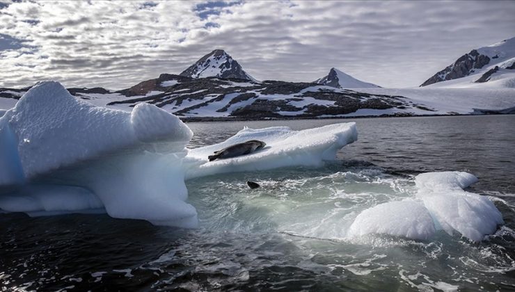 Küresel ısınma Antarktika’da buzulları eritiyor